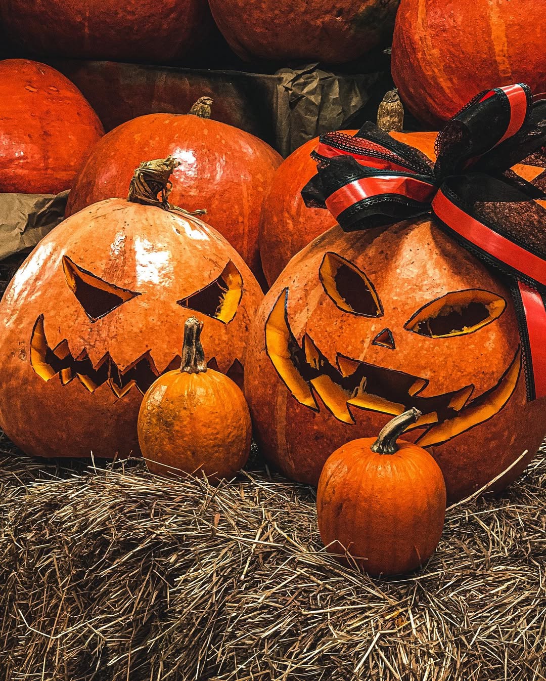 Calabazas Bogotá 2